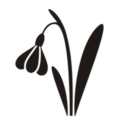 Free Free Snowdrop Svg 944 SVG PNG EPS DXF File