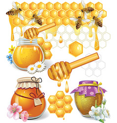 Honey beekeep icon set with honeycomb honeybee Vector Image