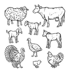 Chicken icon hand drawn style Royalty Free Vector Image