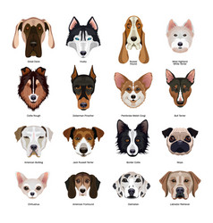 Profile dogs icon set Royalty Free Vector Image