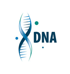 Dna helix strand logo element Royalty Free Vector Image