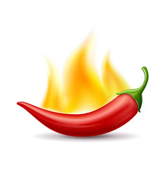 Chili pepper on fire Royalty Free Vector Image