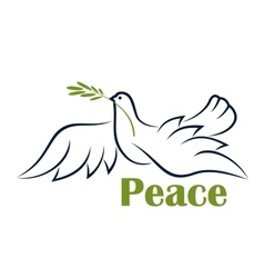 White dove with olive branch flying pigeon birds Vector Image