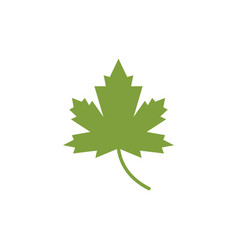Realistic red maple leaf Royalty Free Vector Image