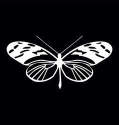 Butterfly Royalty Free Vector Image - VectorStock