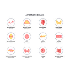 Autoimmune disorders diseases Royalty Free Vector Image