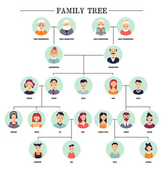 Family tree human avatars relationship scheme Vector Image