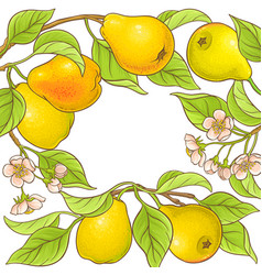Pear set Royalty Free Vector Image - VectorStock