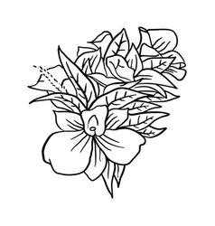 Group flower line drawing Royalty Free Vector Image