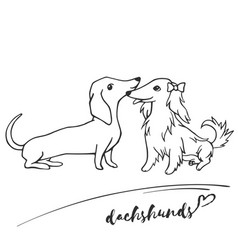Long Haired Dachshund Dachshunds Vector Images 38