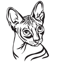 Cat Sphynx Drawing Vector Images Over 240