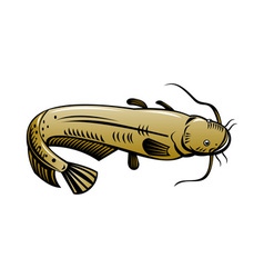 Catfish Jumping Vector Images (over 110)