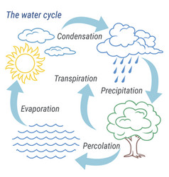 water cycle colour royalty free vector image vectorstock soil colour chart pdf