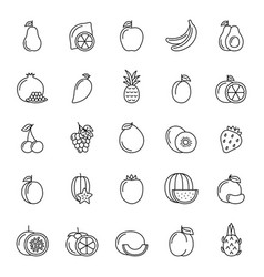 Different of fruits realistic Royalty Free Vector Image