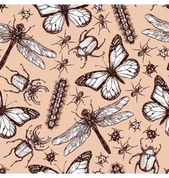 Seamless pattern vector insects monochrome sketch macrovector