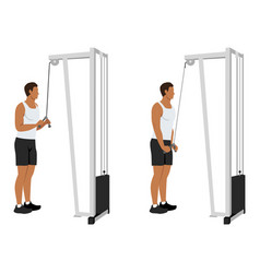 Man doing cable tricep kickbacks exercise Vector Image