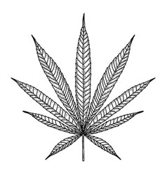 Tribal marijuana leaf Royalty Free Vector Image