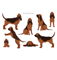 Bloodhound Clipart Different Coat Colors Vector Image