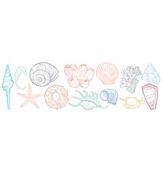 Hand drawn seashells Royalty Free Vector Image