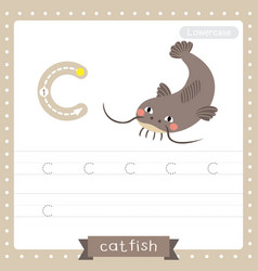 Cat Flashcard Vector Images (over 170)