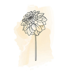 Wall creative icon design 15053379 vector art at vecteezy