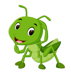 Praying mantis cartoon Royalty Free Vector Image