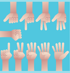 Hand count Royalty Free Vector Image - VectorStock