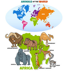 Educational cartoon australian animals Royalty Free Vector