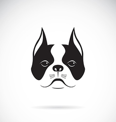 Image of an dog face Royalty Free Vector Image