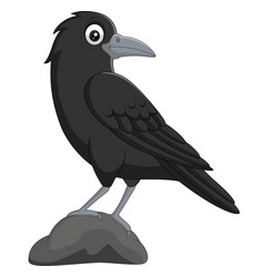 Cartoon crow isolated on white background Vector Image