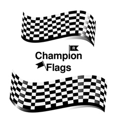 Checkered flag racing Royalty Free Vector Image