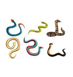 Colorful collection of various snakes Royalty Free Vector