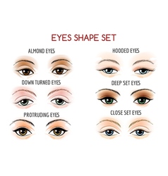 Basic eyebrow shape types Royalty Free Vector Image