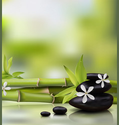 Spa stones in tropics Royalty Free Vector Image