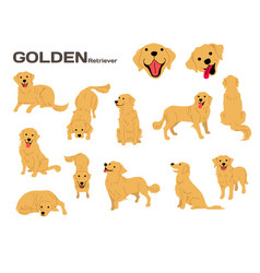 Golden Retriever Vector Images (over 1,100)