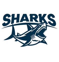 Rugby shark mascot Royalty Free Vector Image - VectorStock