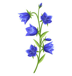 Featured image of post Blue Bell Flower Clipart - Please remember to share it with your friends if you like.