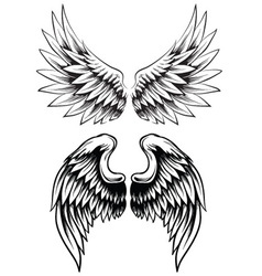 Set of wings Royalty Free Vector Image - VectorStock