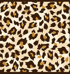 Set leopard skin seamless pattern wild cat Vector Image