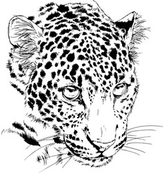 Tiger 0002 black tribal tattoo Royalty Free Vector Image