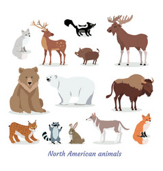 Big set of world animal species cartoon Royalty Free Vector