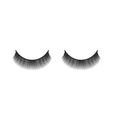 Download Lashes Mockup Vector Images (56)