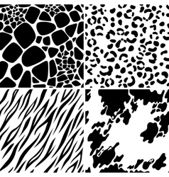 Animal skin seamless patterns in bright colors Vector Image