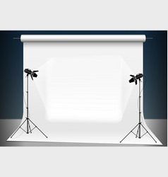 Photography studio photo backdrop and spotlight Vector Image