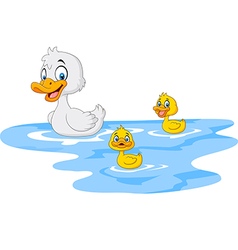 Cartoon ducks floats on water Royalty Free Vector Image