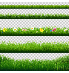 Green grass borders big set transparent background