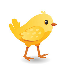 Cute yellow bird in cracked egg chick hatches Vector Image