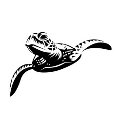 Turtle design on white background wild animals Vector Image