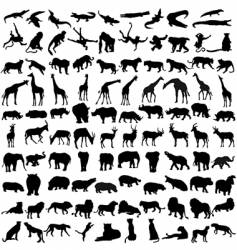 Animals Australia Royalty Free Vector Image - VectorStock