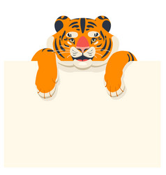 Cute baby white tiger posing with blank sign Vector Image